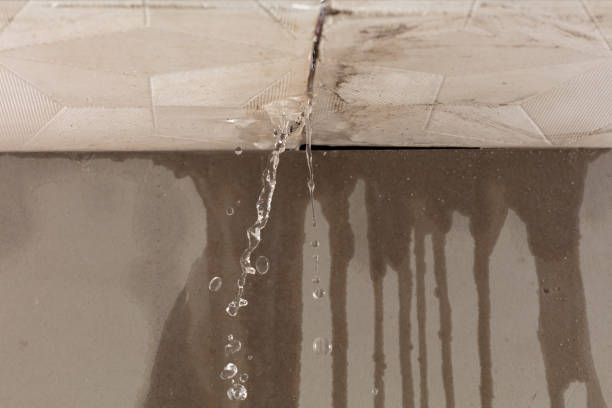 Professional Sewage Cleanup technician working in Wheaton, IL